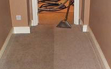 Carpet and Rug Cleaning